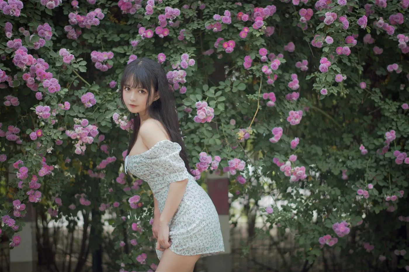 黑猫猫OvO – NO.23 蔷薇2 [27P]插图6